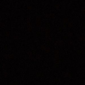 Meet your Posher, Roxanne elaine